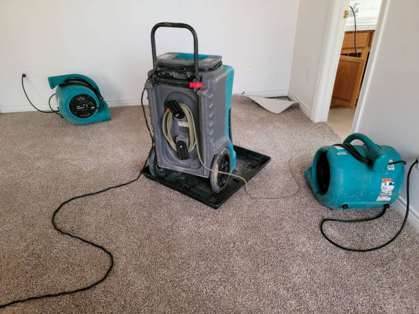 Best Mold removal after water damage  in Highwood, IL