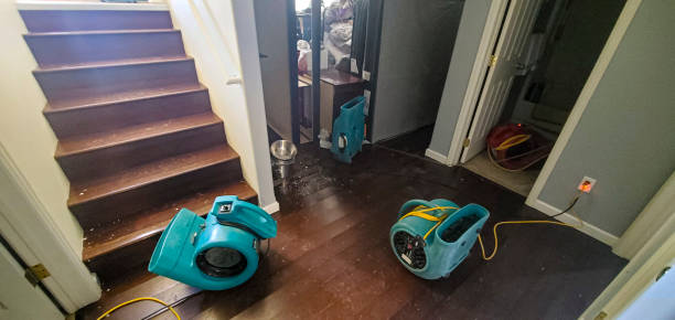 Trusted Highwood, IL Water damage restoration Experts