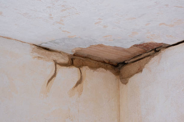 Reliable Highwood, IL Water damage restoration Solutions