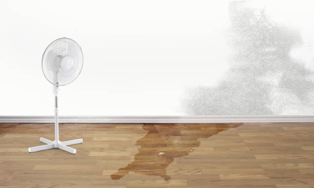 Best Local water damage restoration  in Highwood, IL