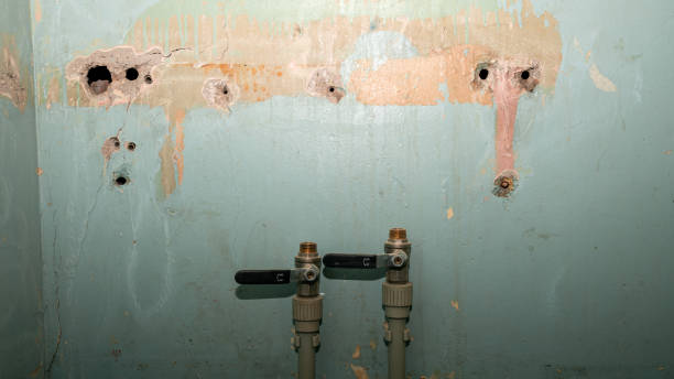 Best Flood damage cleanup  in Highwood, IL