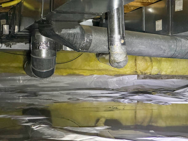 Best Emergency water extraction  in Highwood, IL