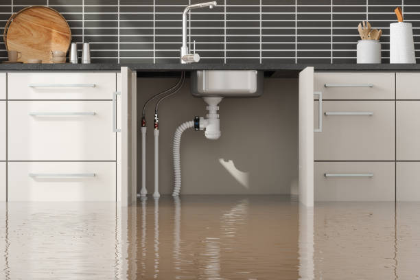 Best Residential water damage restoration  in Highwood, IL