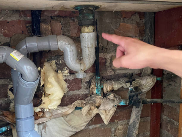 Best Ceiling water damage repair  in Highwood, IL