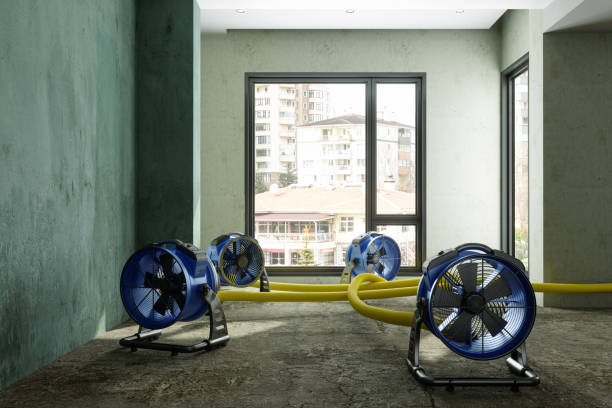 Local water damage restoration in Highwood, IL