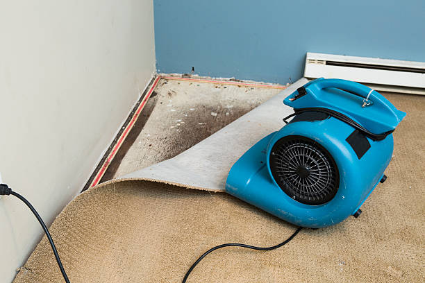 Best Sewage cleanup and water damage restoration  in Highwood, IL
