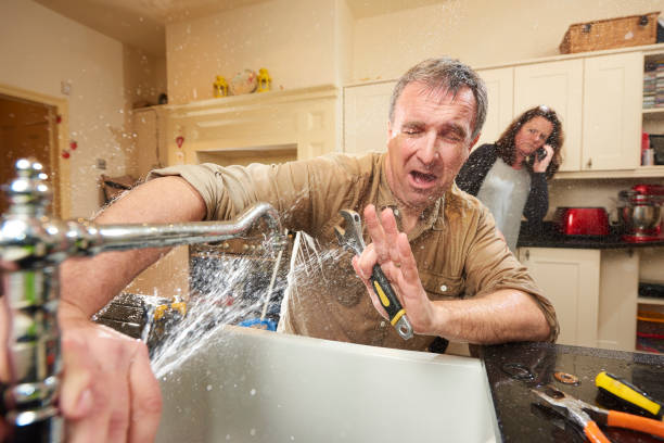 Best Flooded house restoration  in Highwood, IL